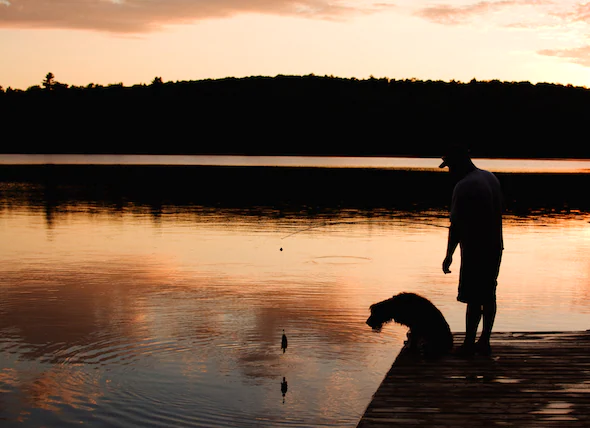 Accidents de pêche chez les chiens